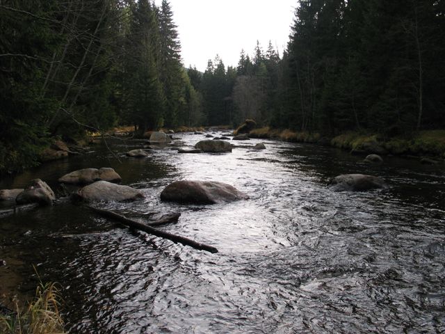 Křemelná, 25.11.2006
