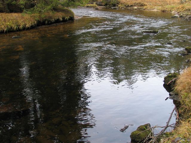 Křemelná, 25.11.2006
