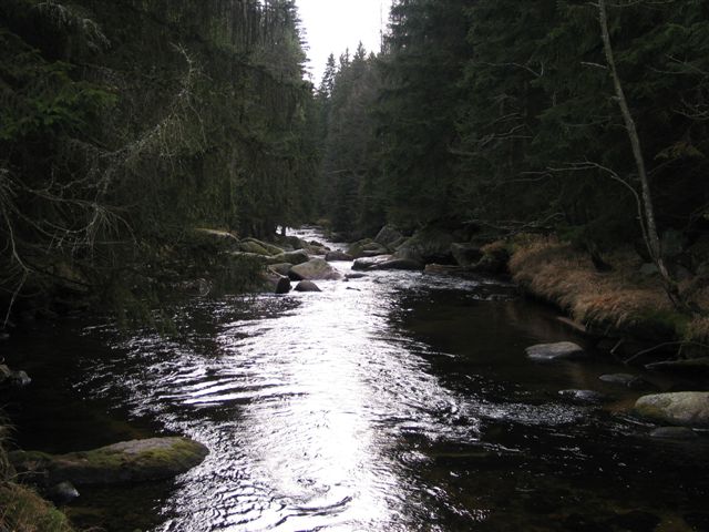 Křemelná, 25.11.2006
