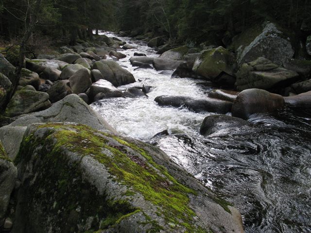 Křemelná, 25.11.2006
