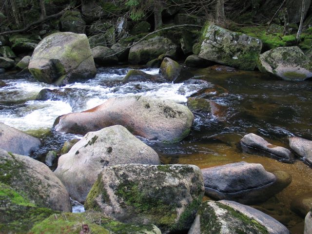 Křemelná, 25.11.2006
