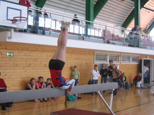 Danča
