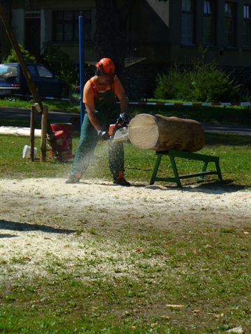 Hamerska777 sekyra 2009 049.jpg