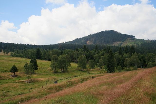 Sokol (Antýgl)
