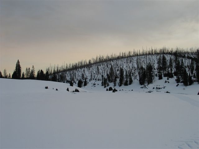 IMG_0237.JPG