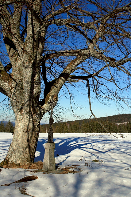 Zhůří  (Haidl)
