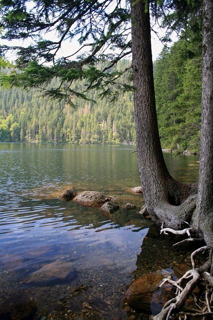 Černé jezero
