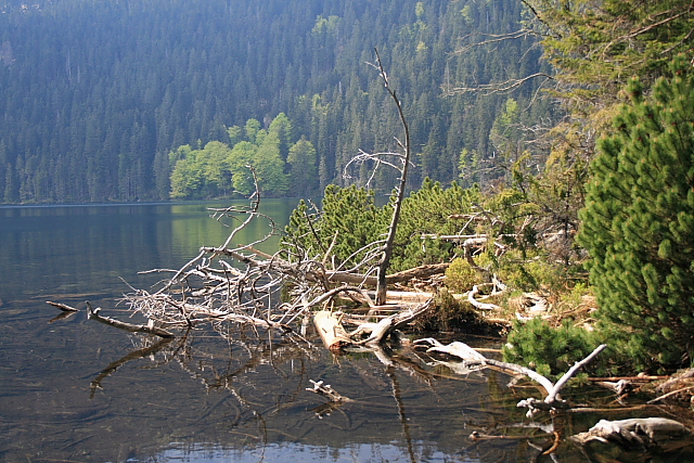 Černé jezero
