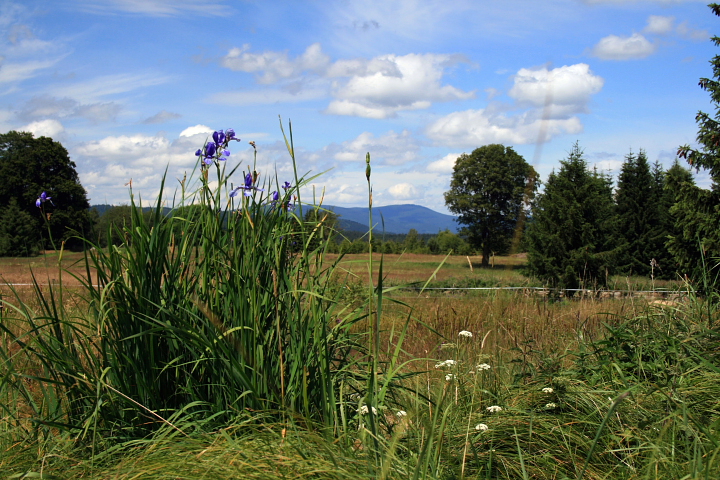 Nové údolí  (Neuthal)
