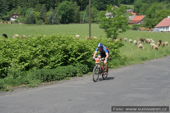 Hradiště
Záběr z cyklomaratonu Author Král Šumavy 2007
