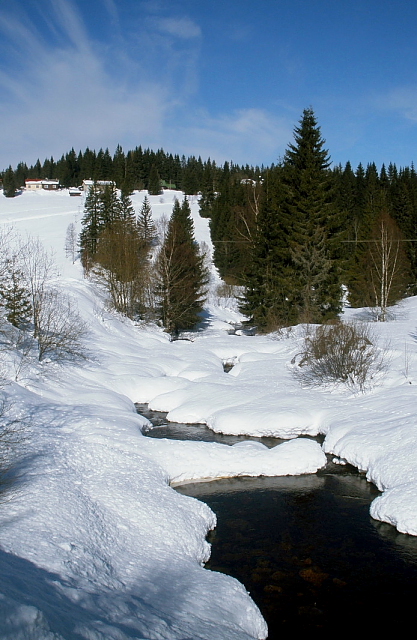 Modrava
