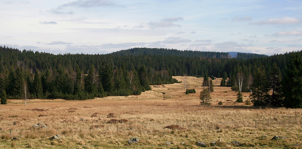 Buková slať
