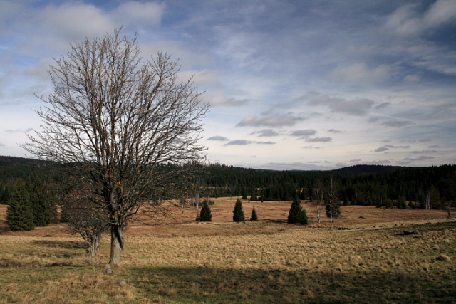 Knížecí pláně  (Fürstenhut)
