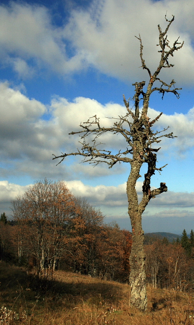 Zelená Hora  (Grünberg)
