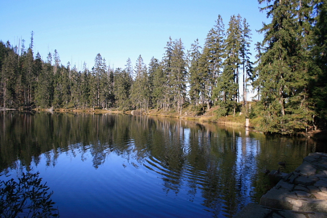 Prášilské jezero
