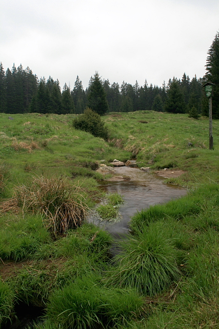 Losenice pod Zlatou Studnou  (Goldbrunn)
