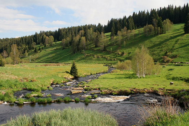 Vltava pod Kvildou
