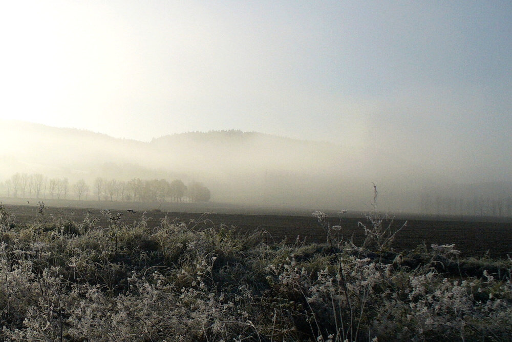 okolí rybníků 14.10.2007
