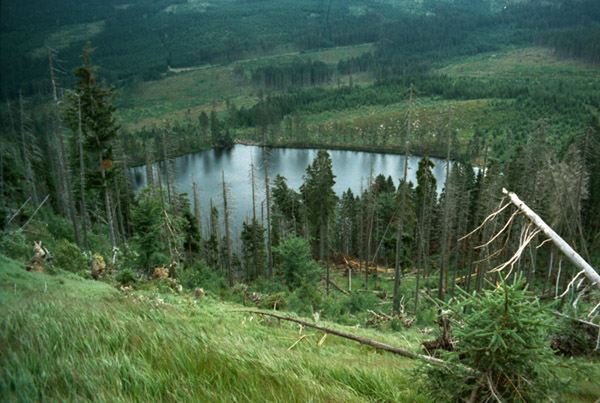 Prášilské jezero
Foto: Jan Peser
