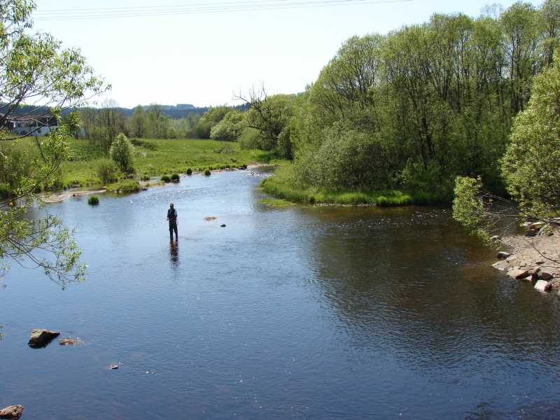 Soutok Řasnice z Vltavou
