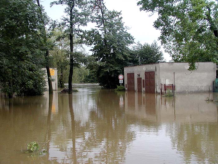 Úhlava u koupaliště
