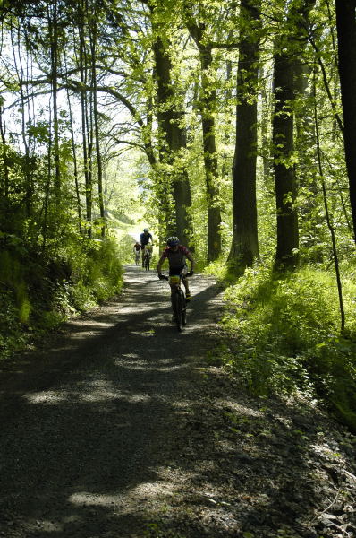 Foto: Michal Malina, Šumavanet.CZ
