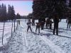 16.2.2010 028.jpg