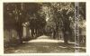 Scan0248.jpg