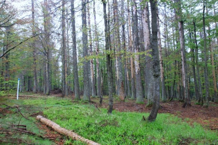 Pohled na českou stranu
