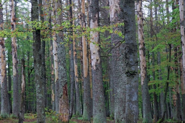 Pohled na českou stranu
