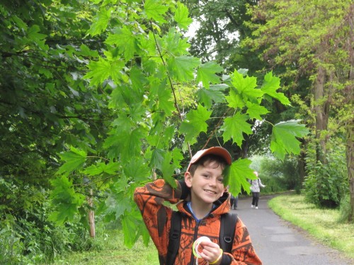 2013.5.30.-31. Turisťák - Český les
