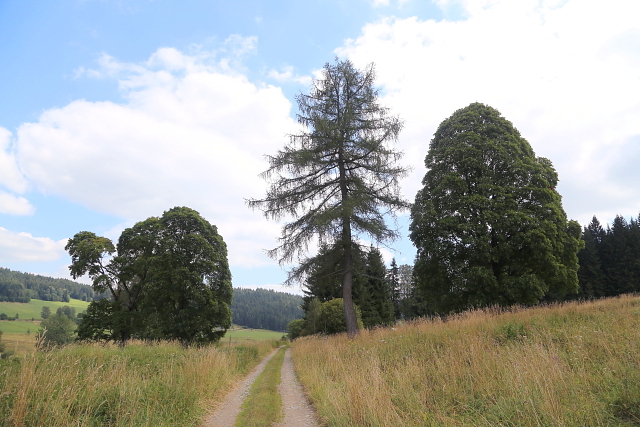 Březová Lada (Birkenhaid - Bettlhäuser)
