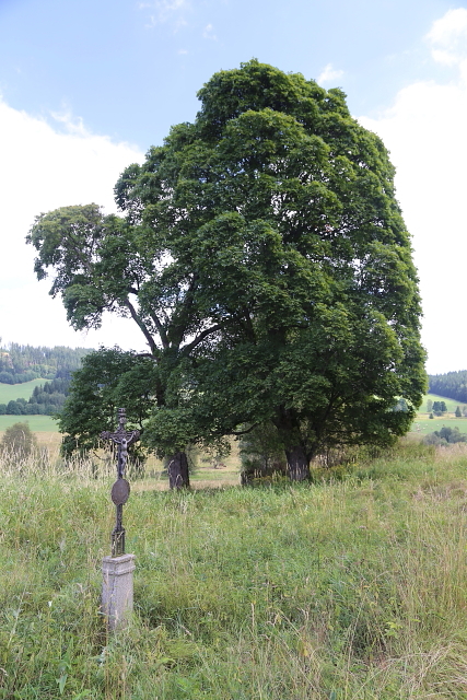 Březová Lada (Birkenhaid - Bettlhäuser)
