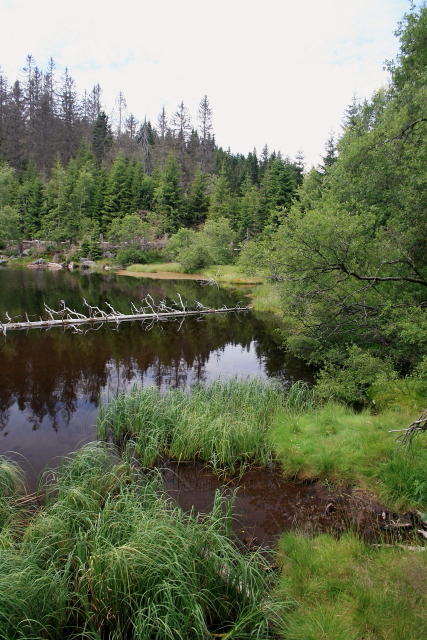 Jezero Laka
