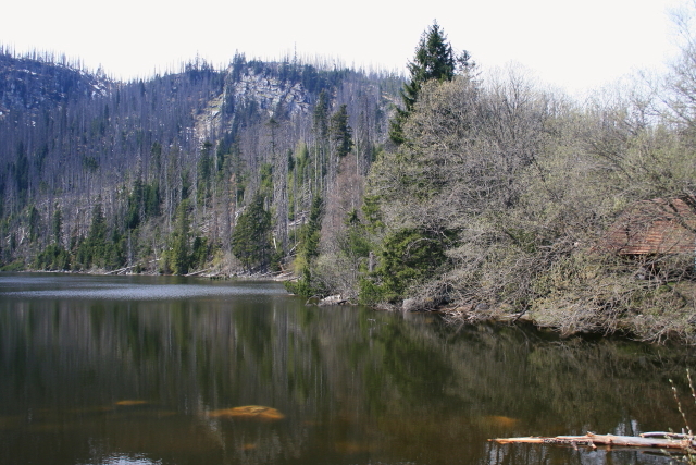 Plešné jezero (30/4/2012)
