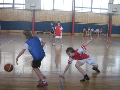 2013.3.20. Basketbal 6.,7.roč. H, OK
