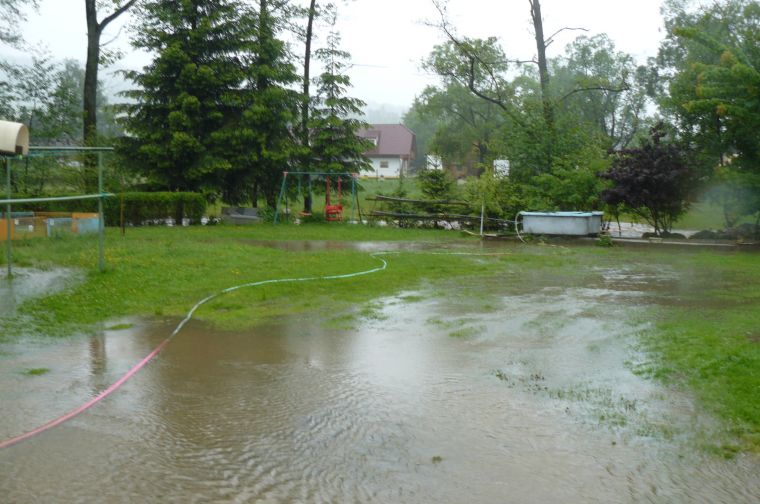 Tady normálně je zahrada plná drůbeže
