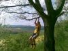 110520102800629.jpg