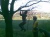 290420102800329.jpg