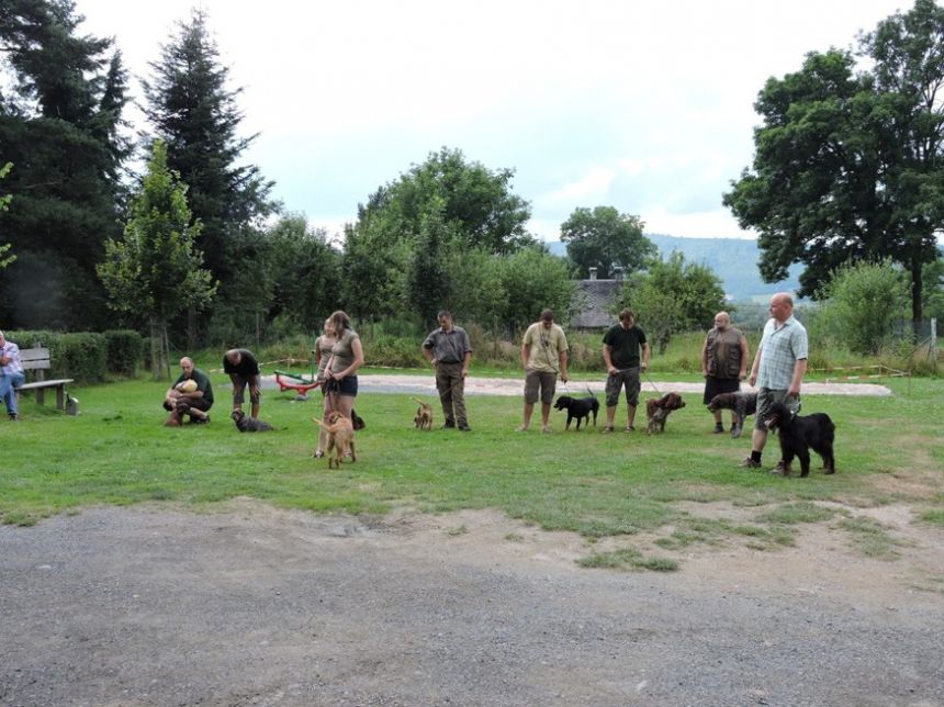 Lovečtí psi nastoupili po obědě na koupališti a předváděli co umí
