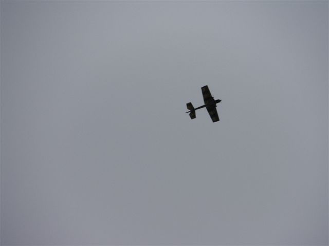 DSCF3534.JPG