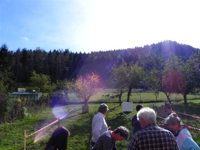 DSCN0583.JPG