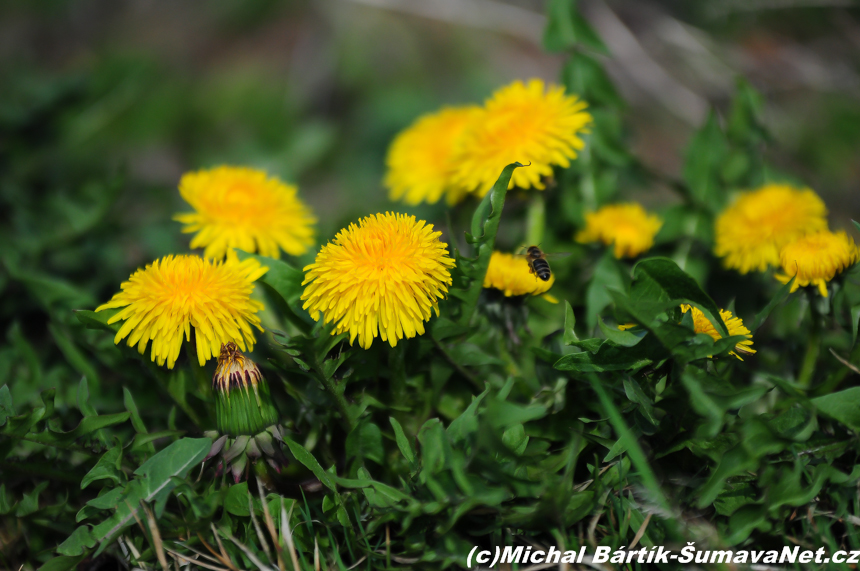 DSC_0002~1.jpg