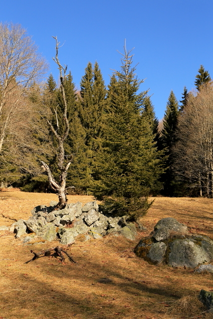 Světlé Hory (Lichtbuchet)
