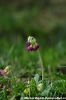 DSC_0216~3.jpg