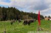 DSC_0218~1.jpg