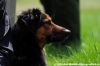 DSC_0296~3.jpg