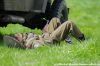 DSC_0373~3.jpg