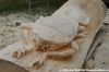 DSC_0770.jpg