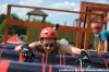 DSC_0800.jpg